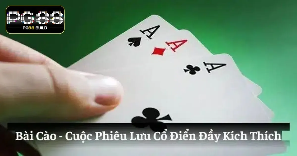 Bài cào PG88 và các thuật ngữ chính