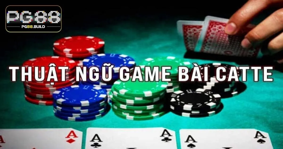 Khi chơi bài Catte PG88 cần biết những thuật ngữ nào?