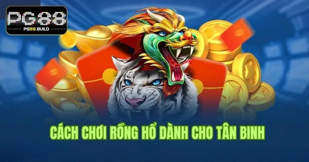 Hướng dẫn quy tắc để đặt Rồng Hổ PG88